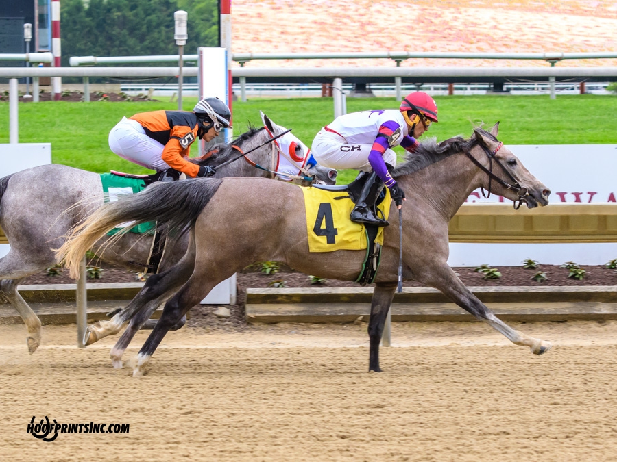Iridesse winning at Delaware Park on 5/4/19